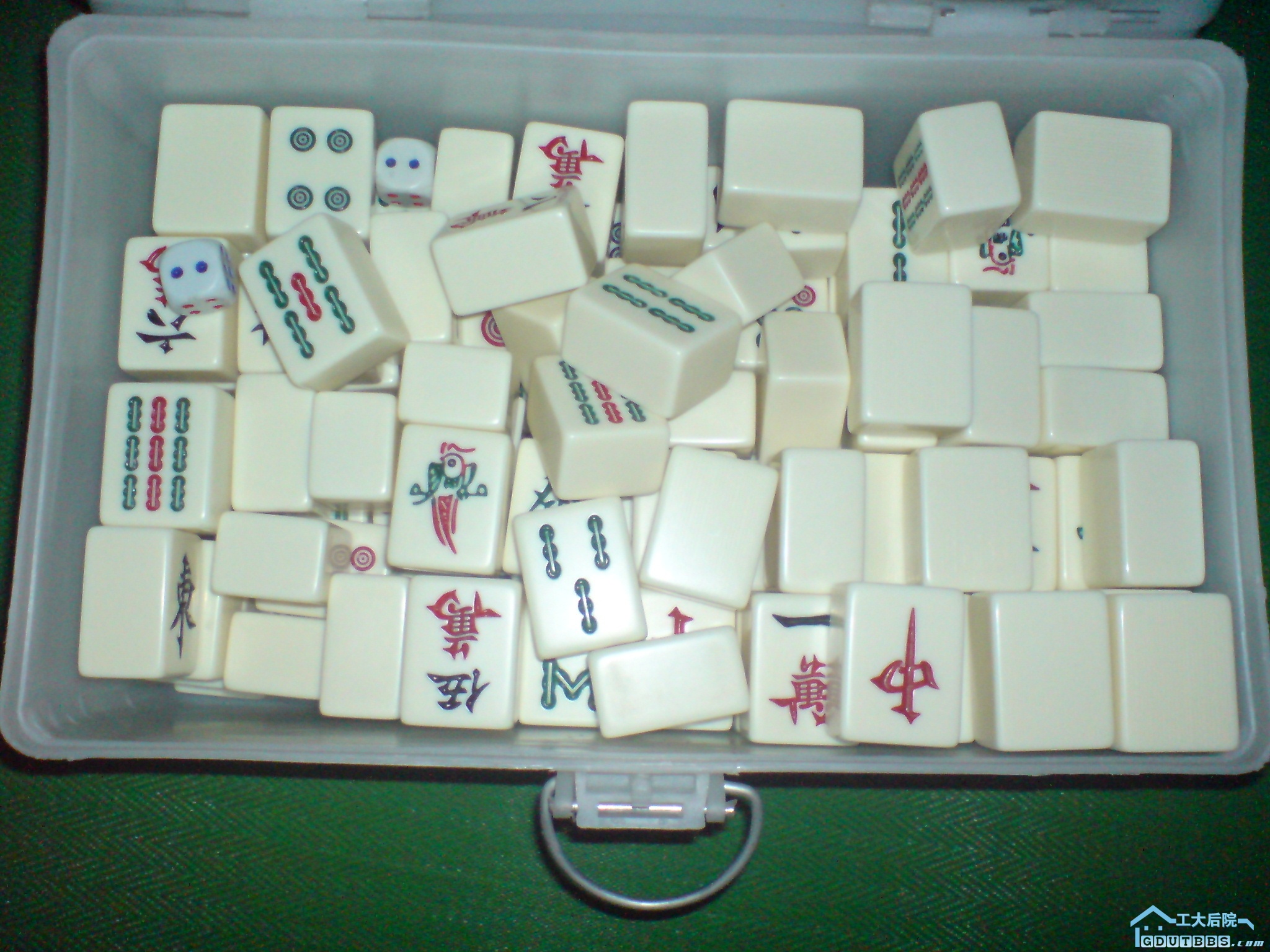 DSC00477.JPG