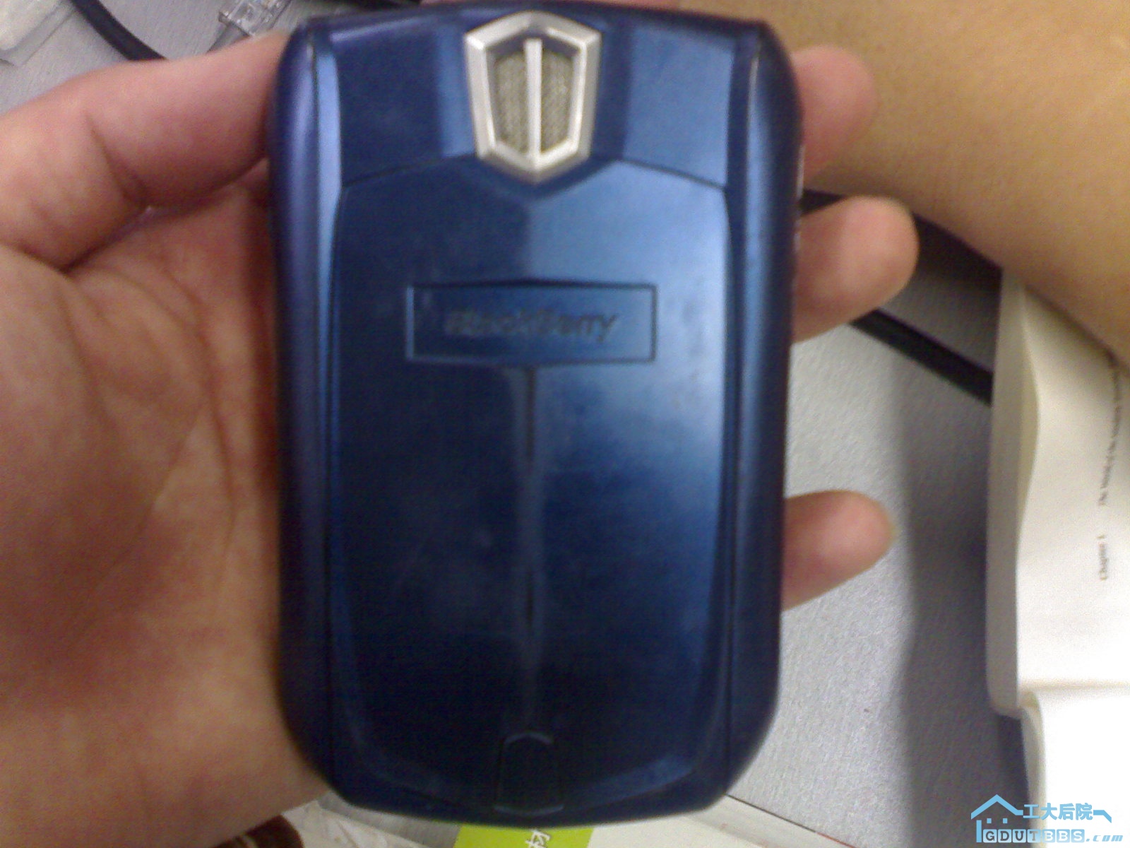20100622027.jpg