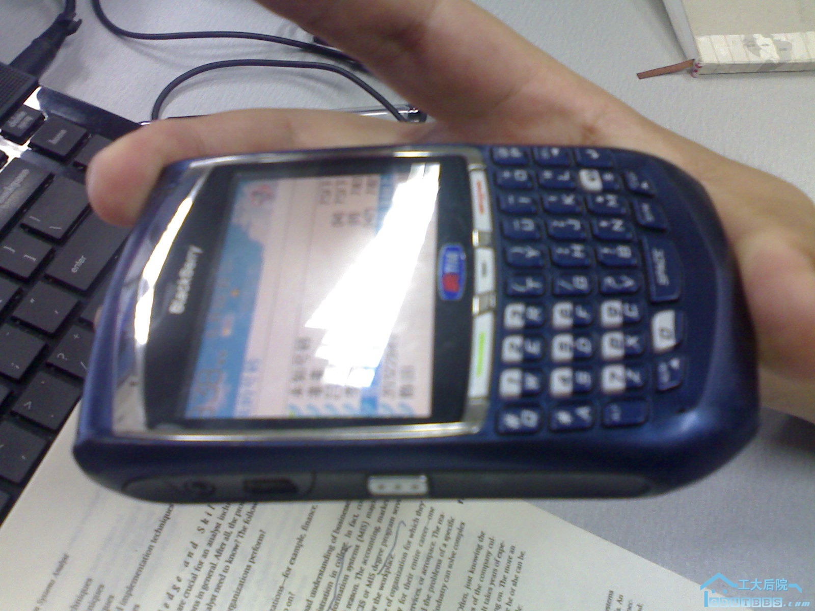 20100622026.jpg