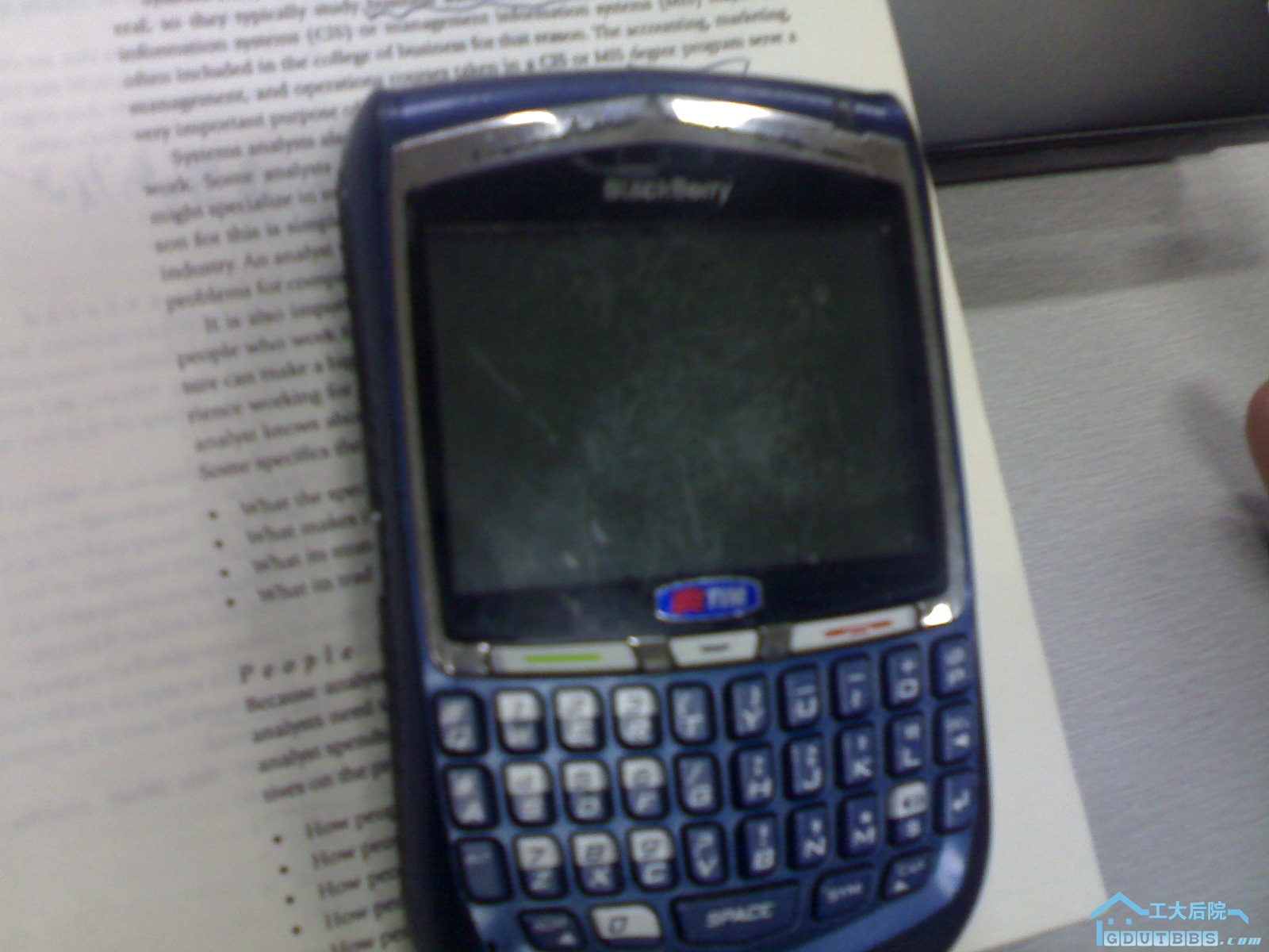 20100622025.jpg