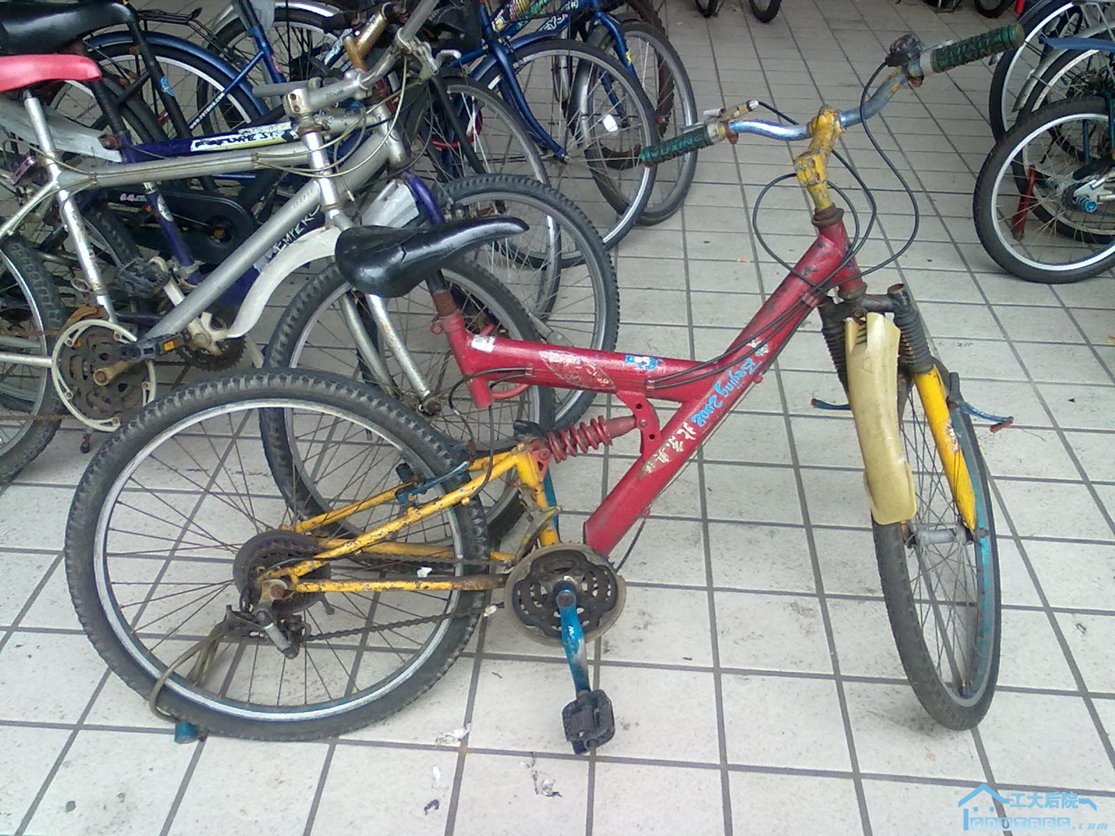 20100622275.jpg