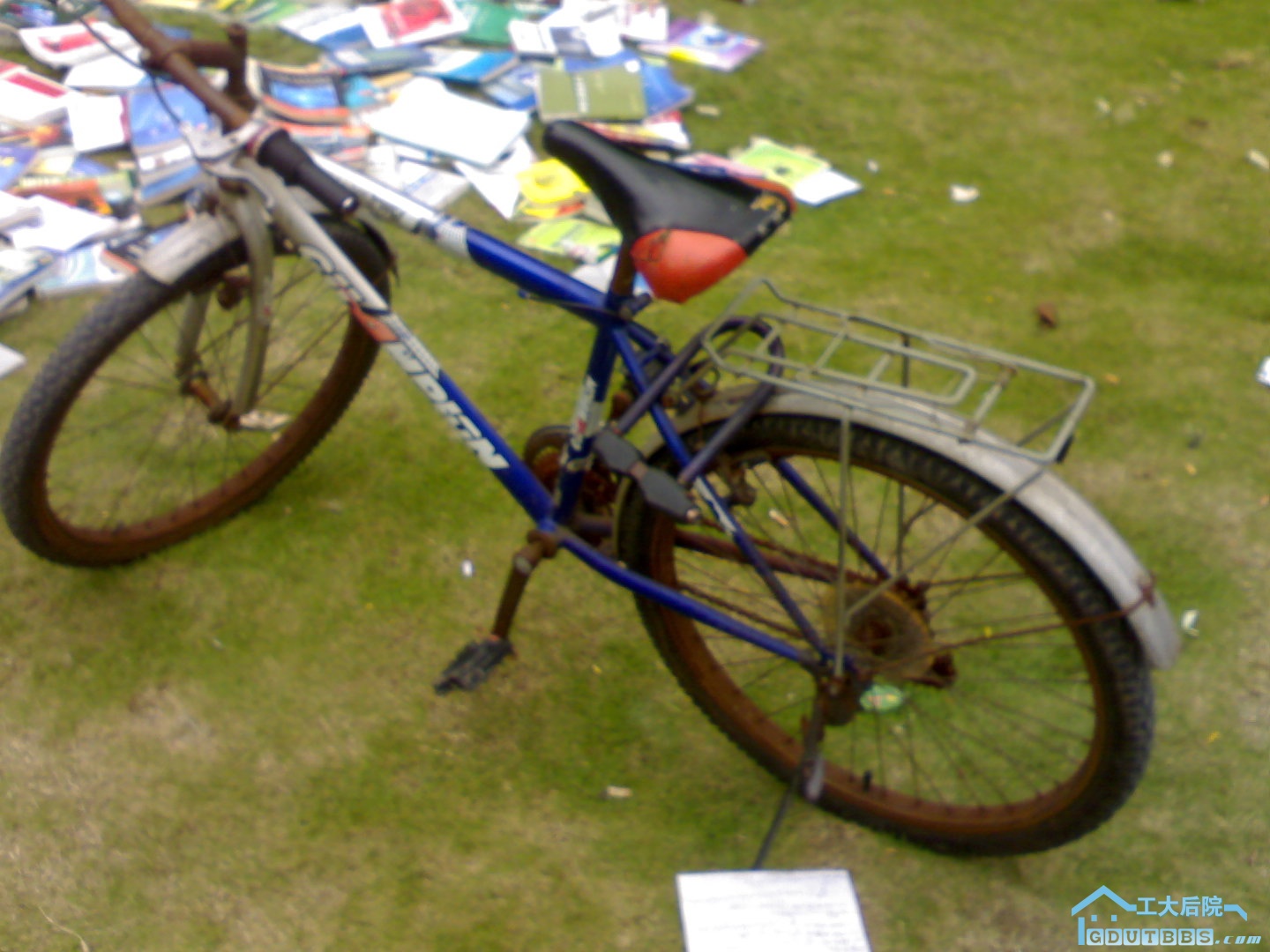 20100620235.jpg