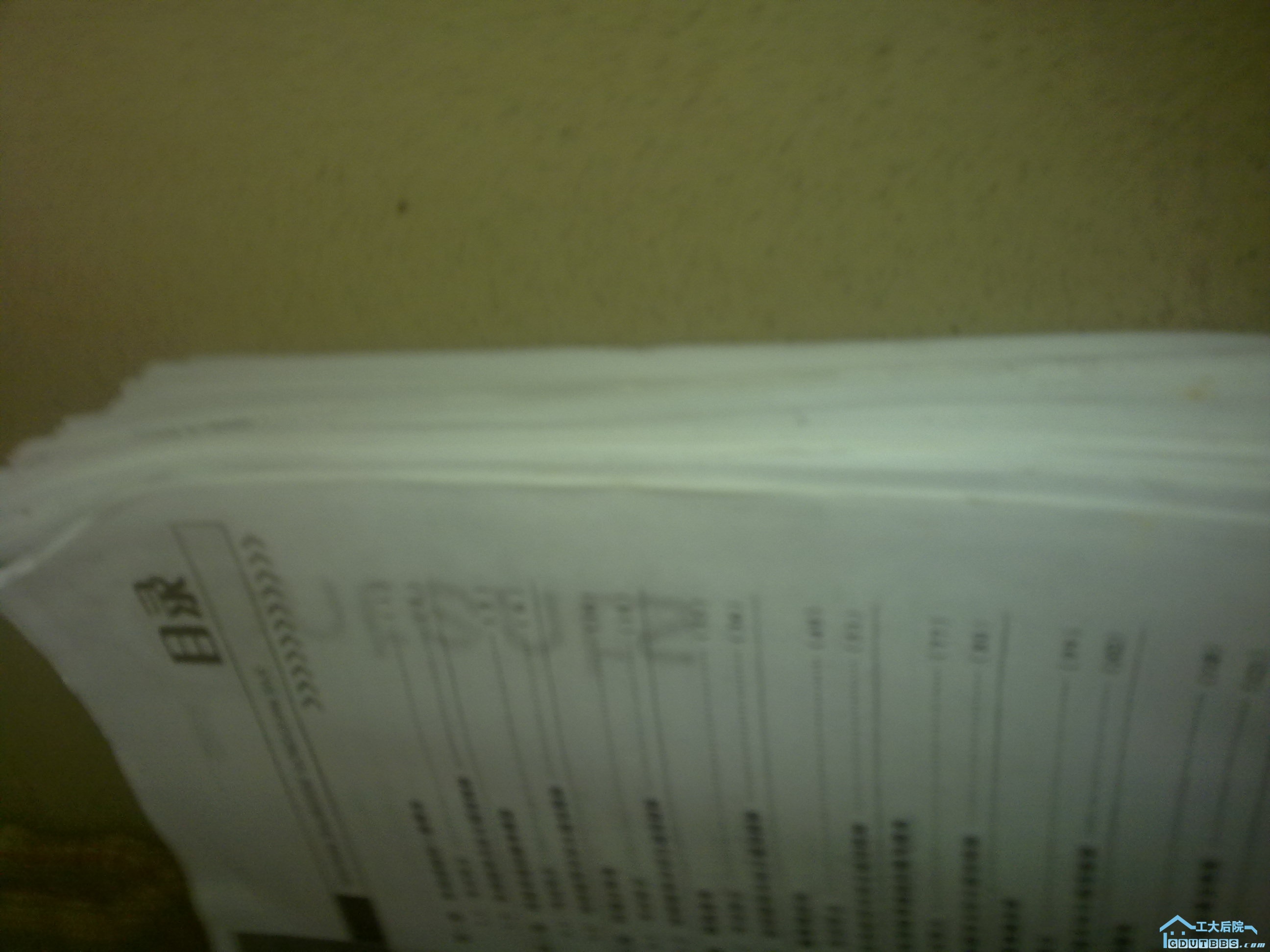 20100616044.jpg