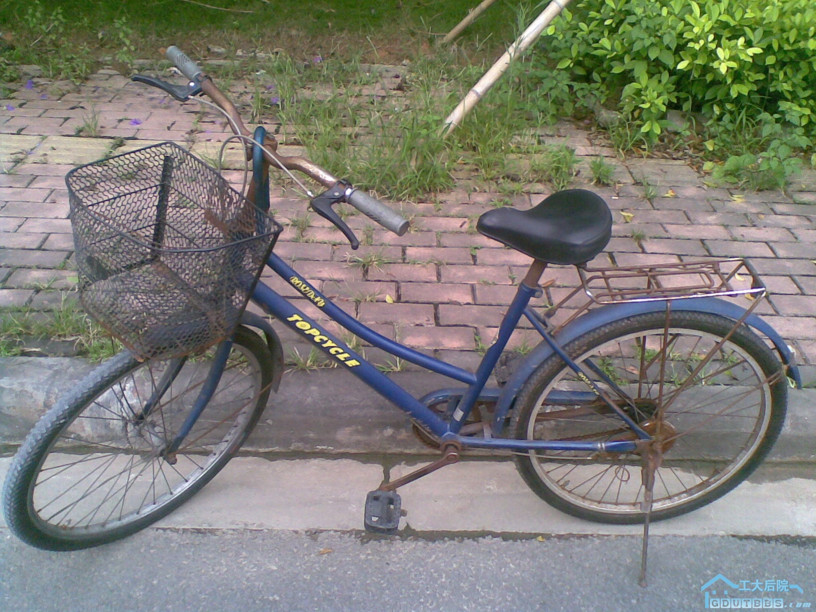 20100623.jpg