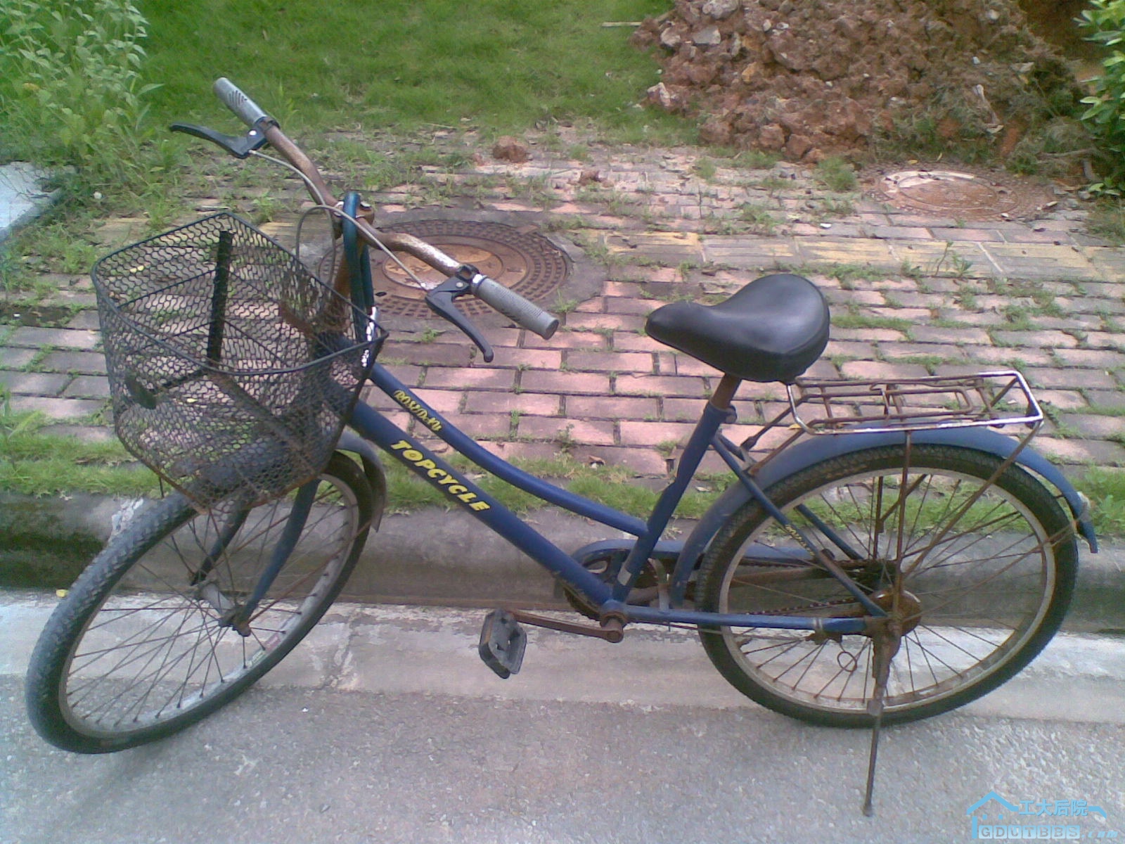 20100623(001).jpg