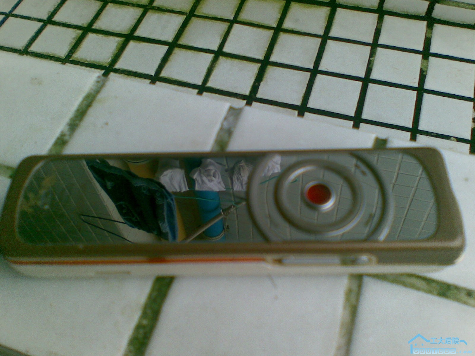 20100618.jpg