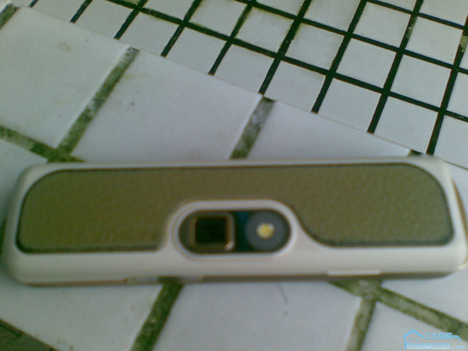 20100618(002).jpg