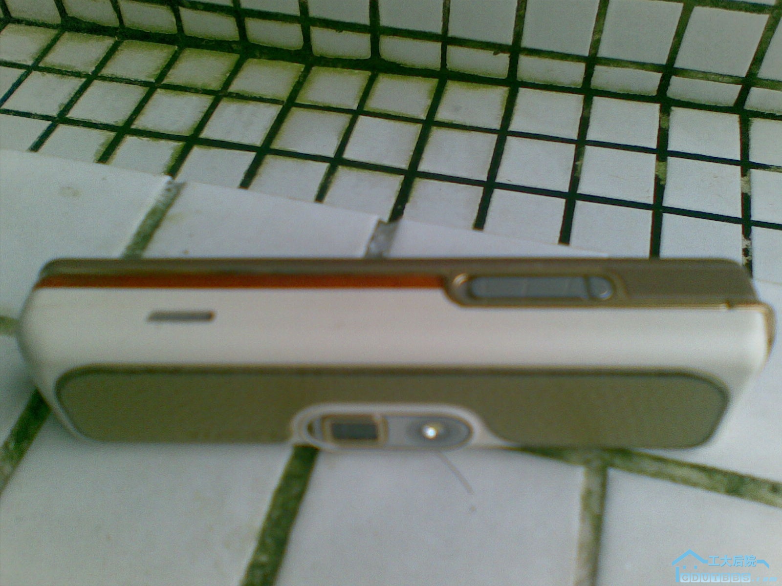 20100618(001).jpg