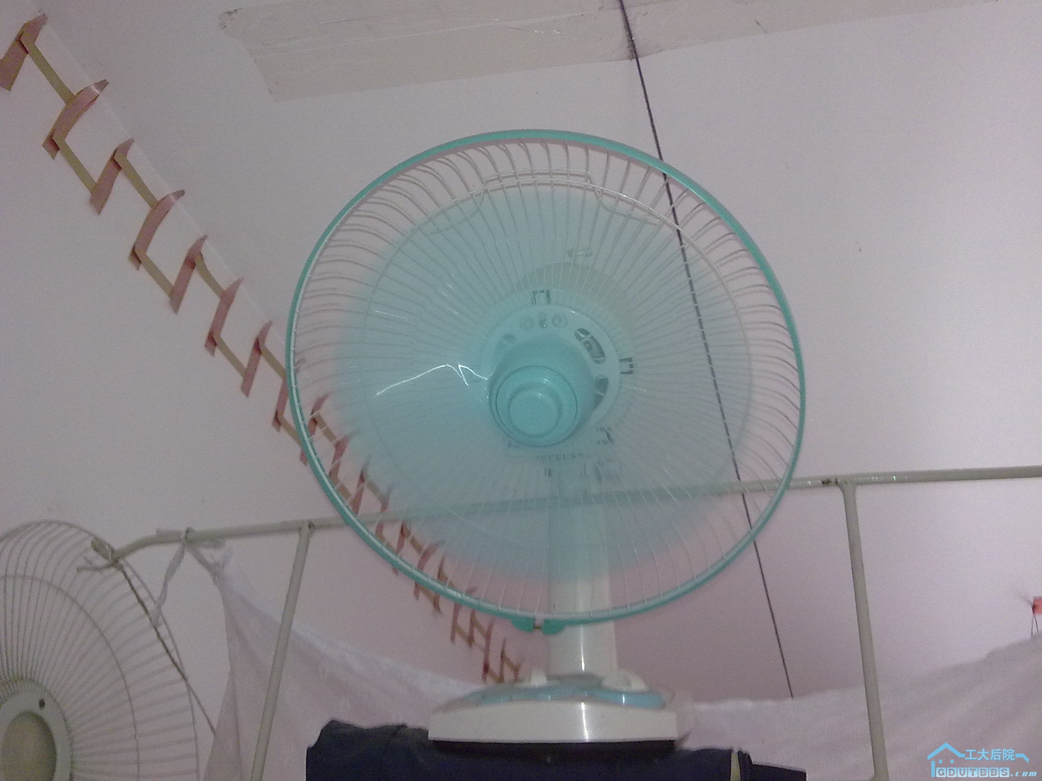 20100624203.jpg