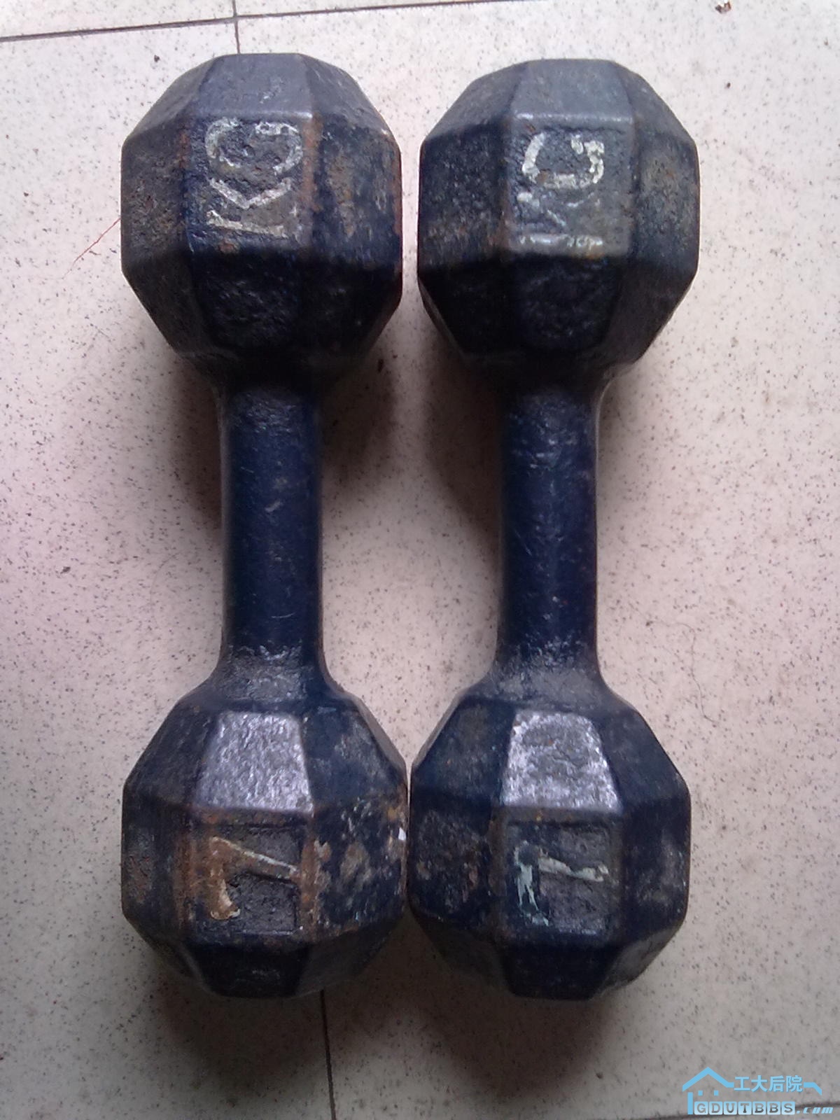 哑铃.jpg