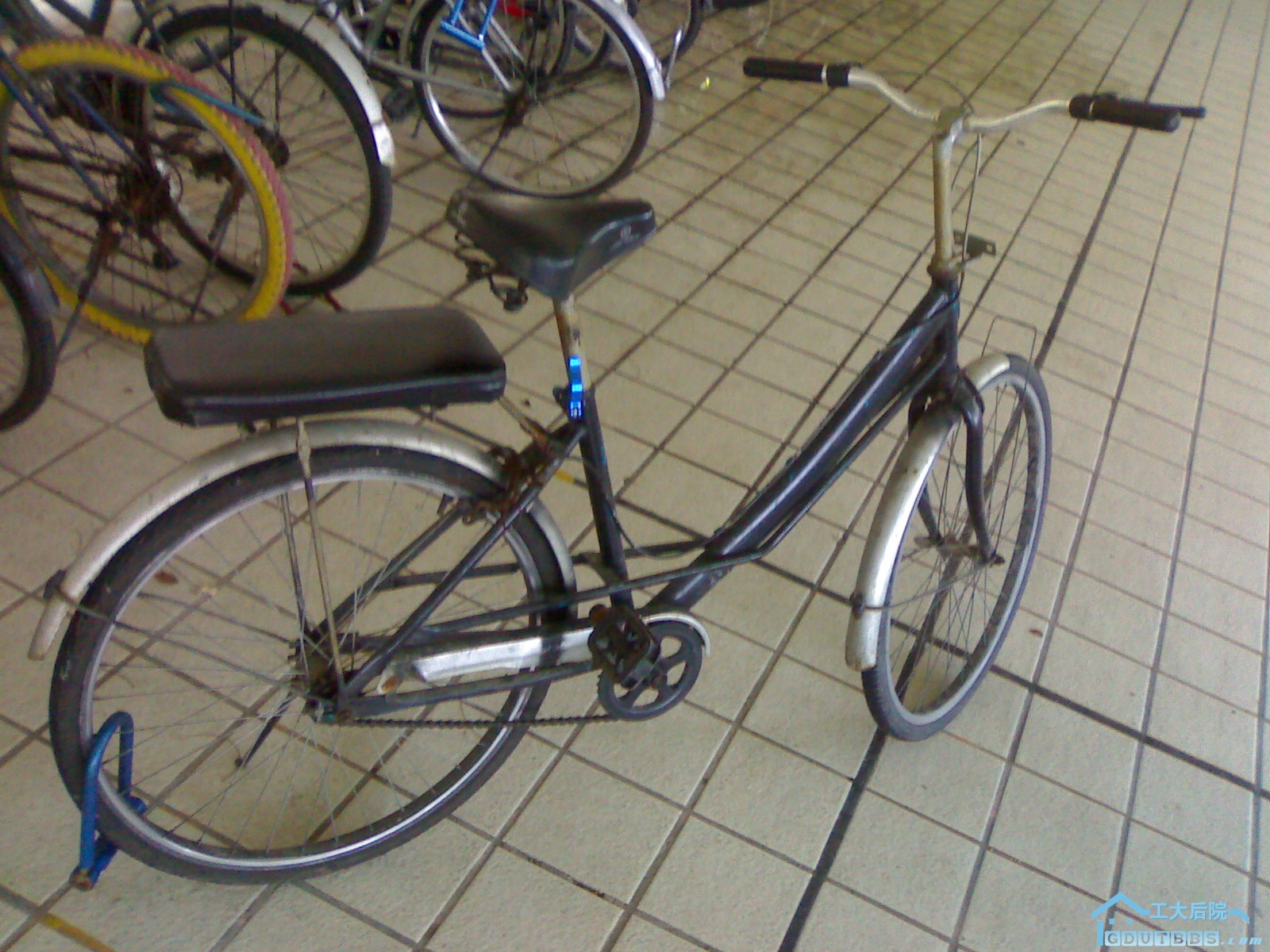 20100624241.jpg