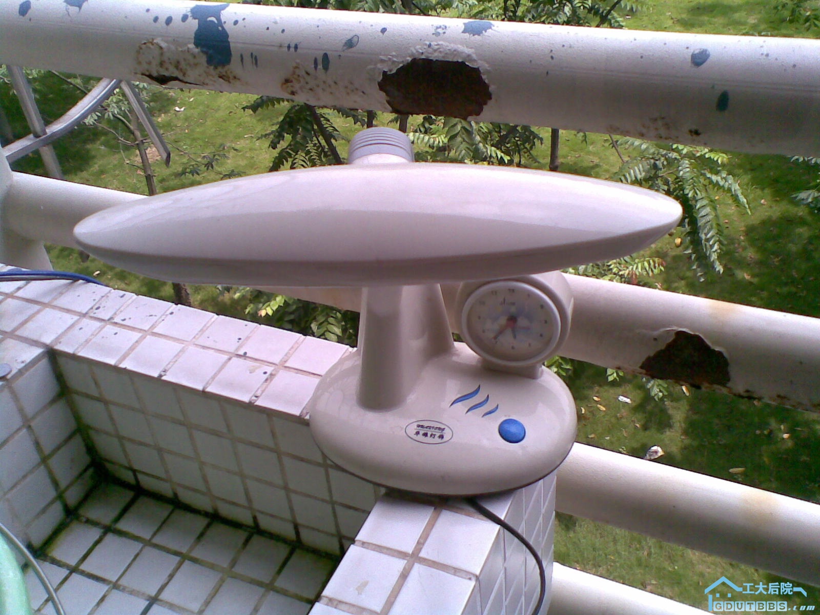 20100624_001.jpg