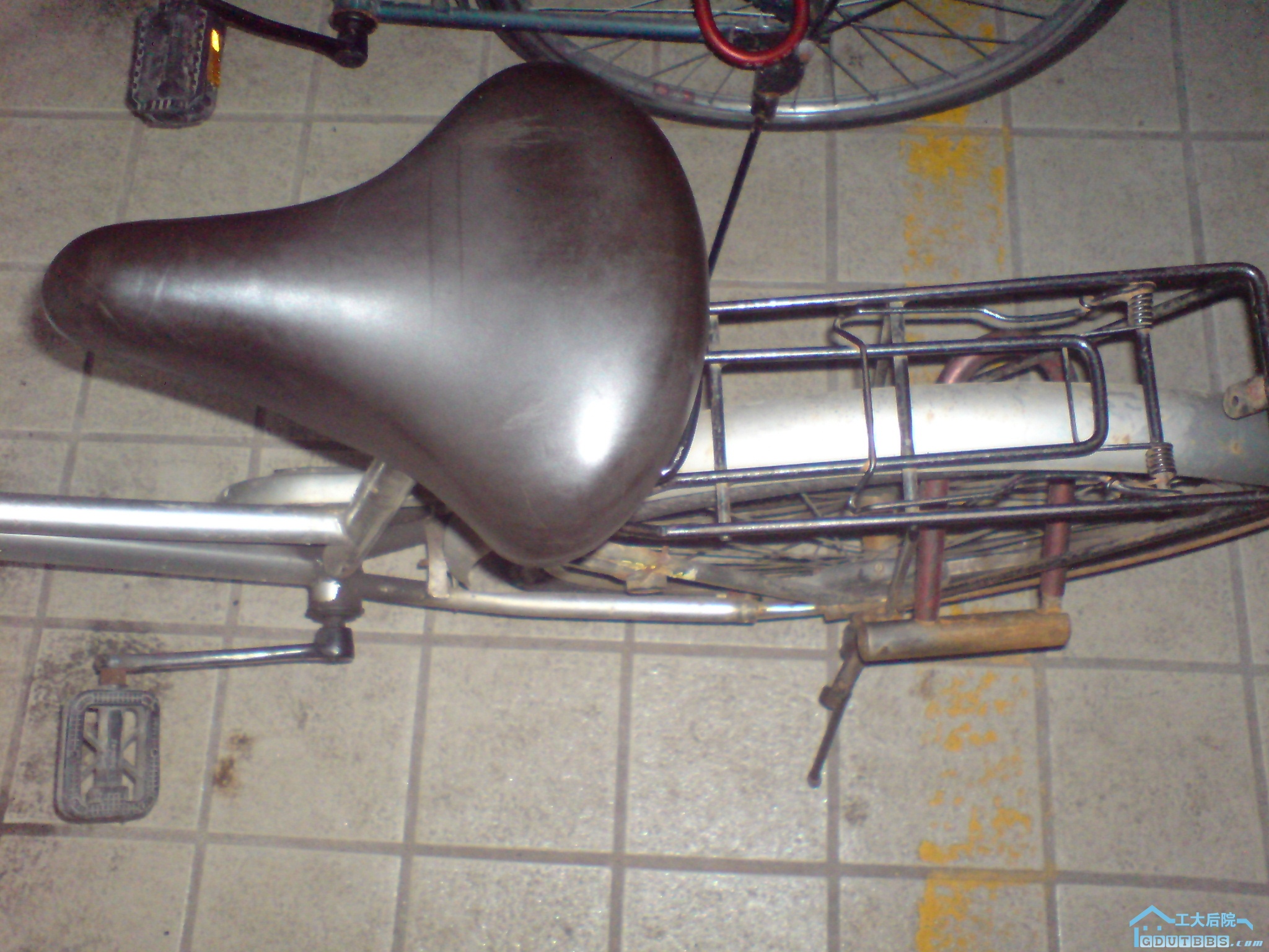 DSC00479.JPG