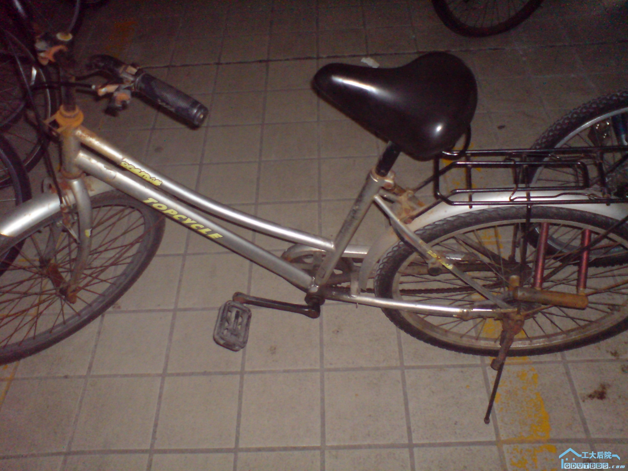 DSC00478.JPG