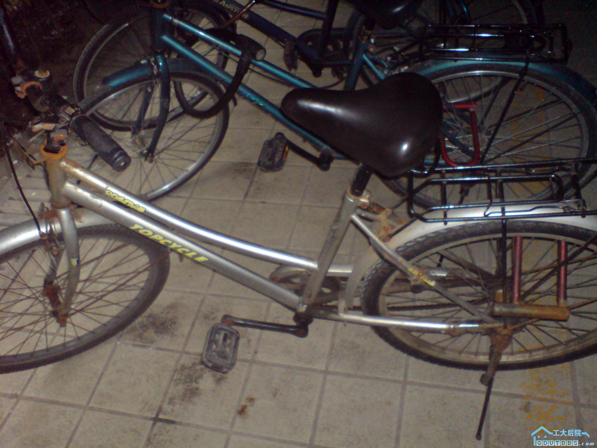 DSC00480.JPG
