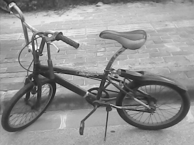 IMG0092A.jpg