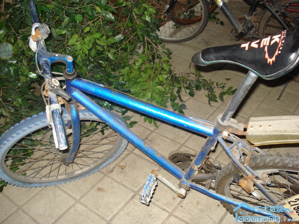 DSC05905.JPG