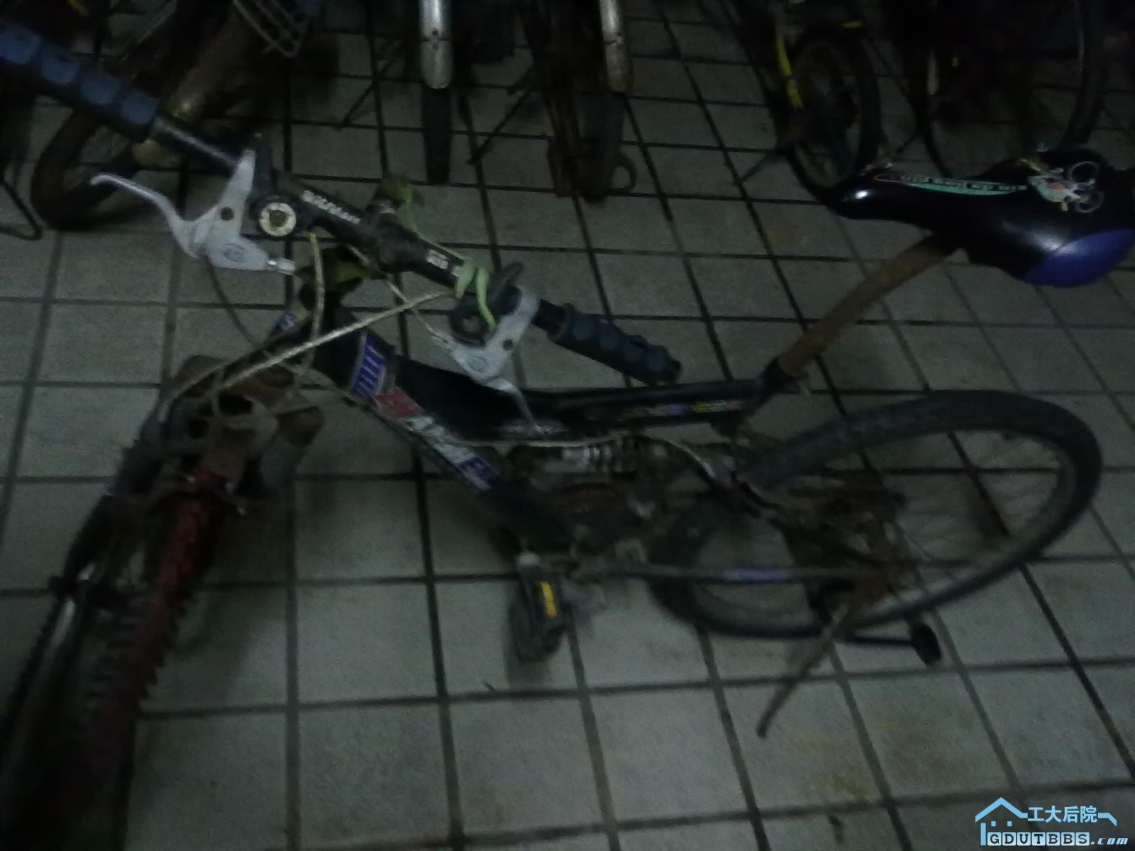20100624471.jpg