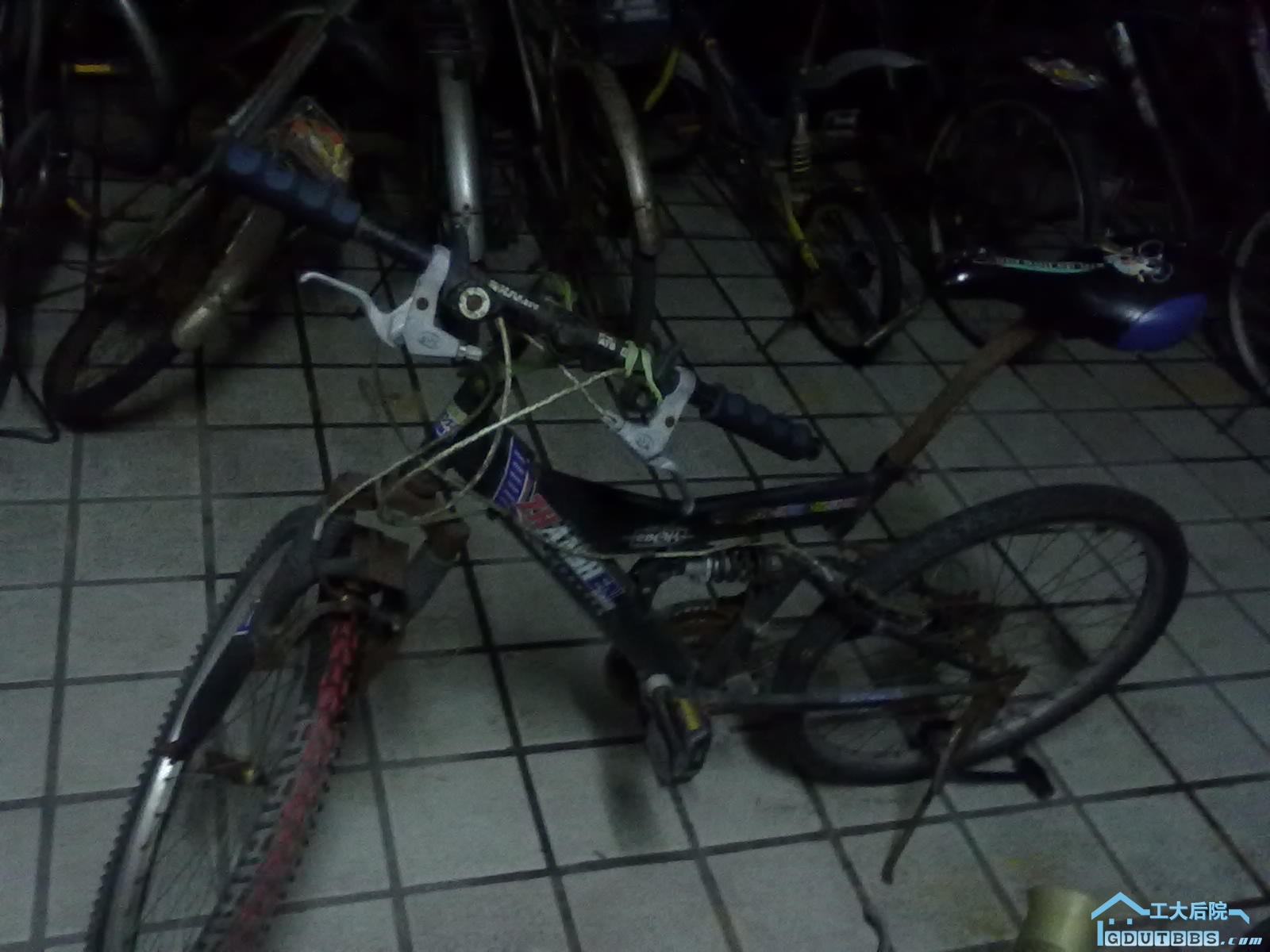 20100624472.jpg