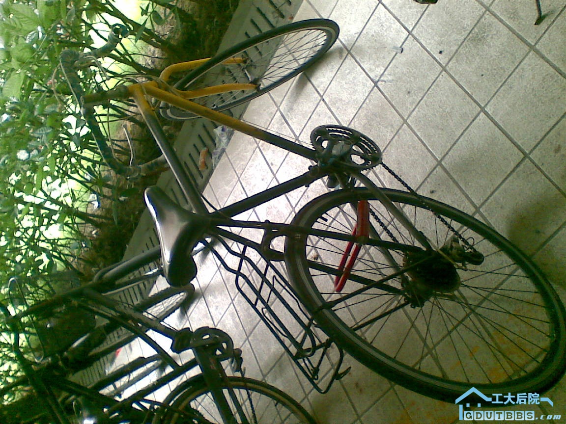 20100623(002).jpg