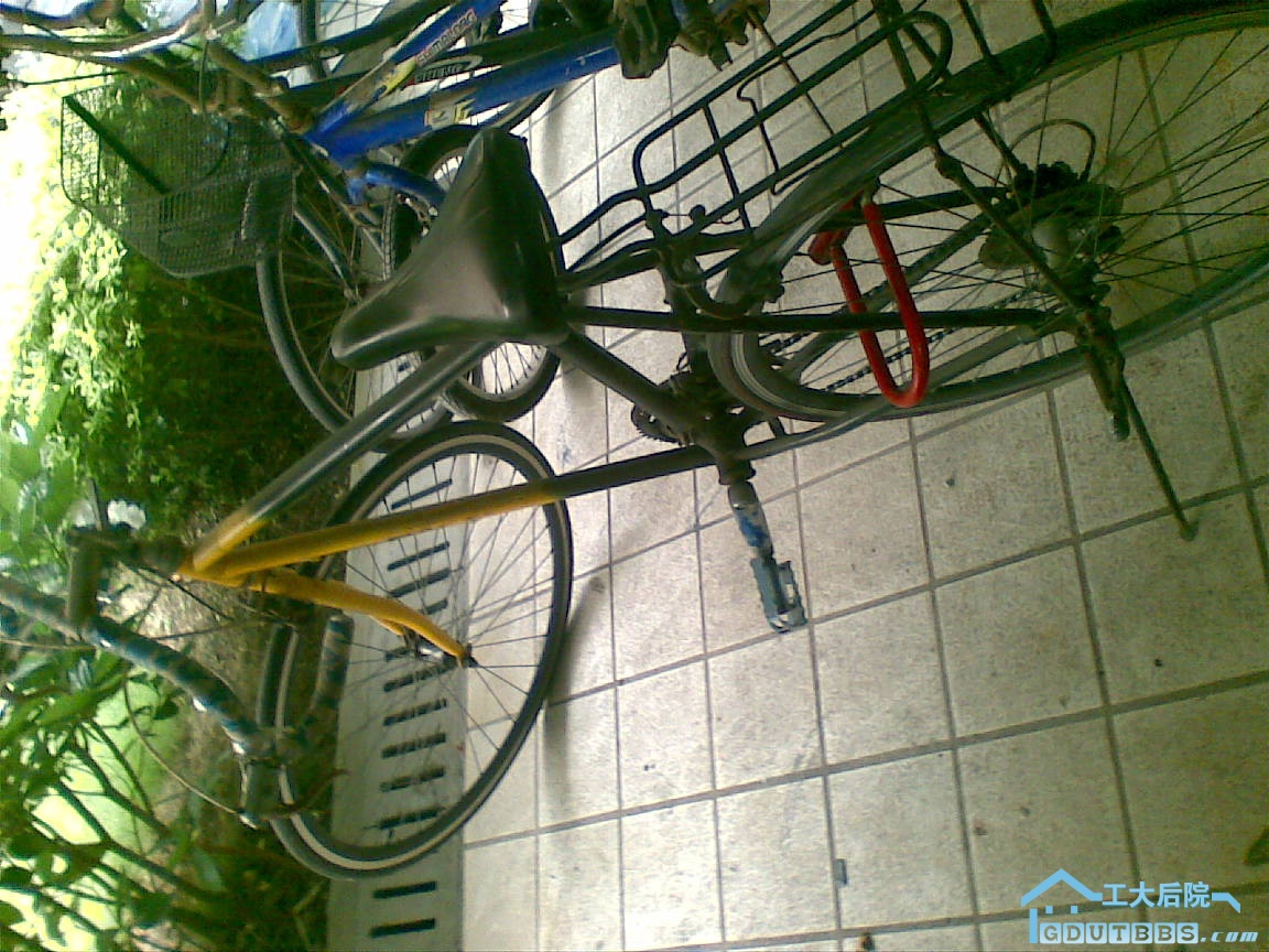 20100623(004).jpg