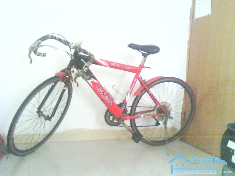 230610-42886.jpg