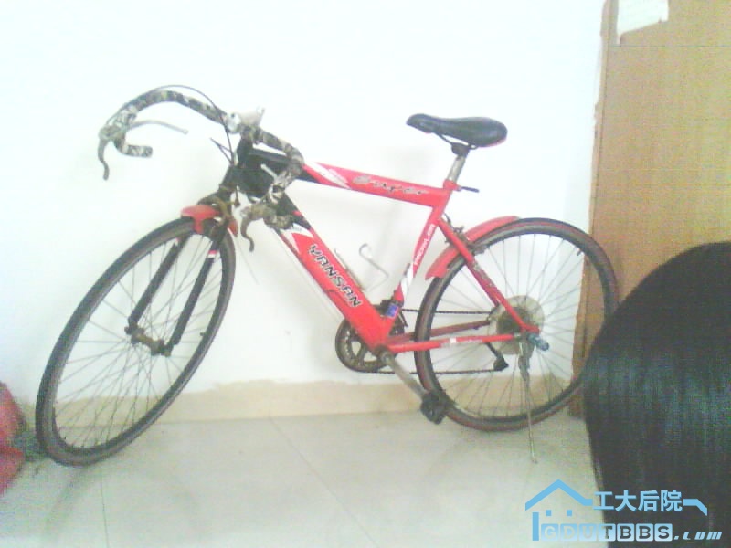 230610-42923.jpg