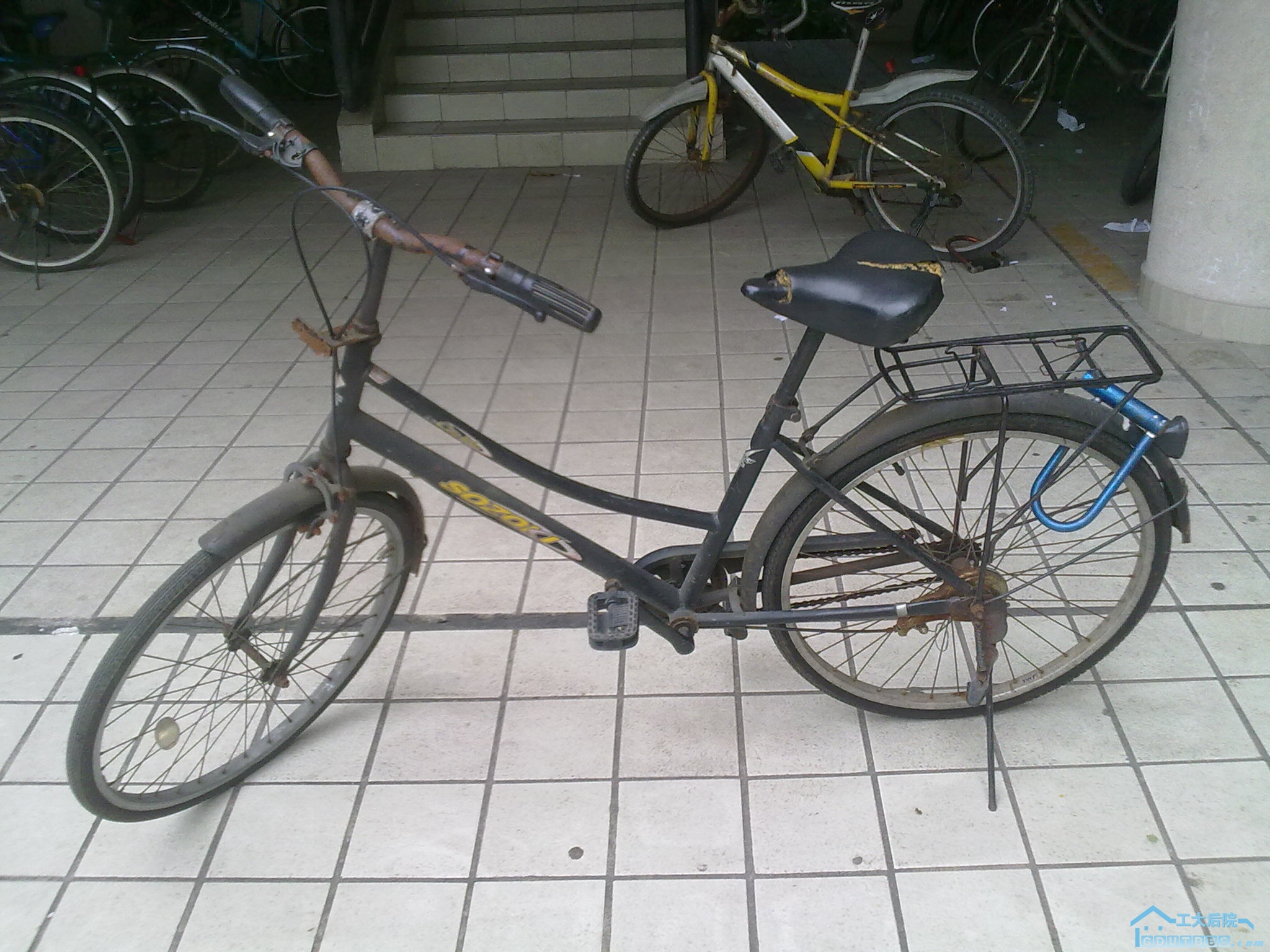 20100621117.jpg