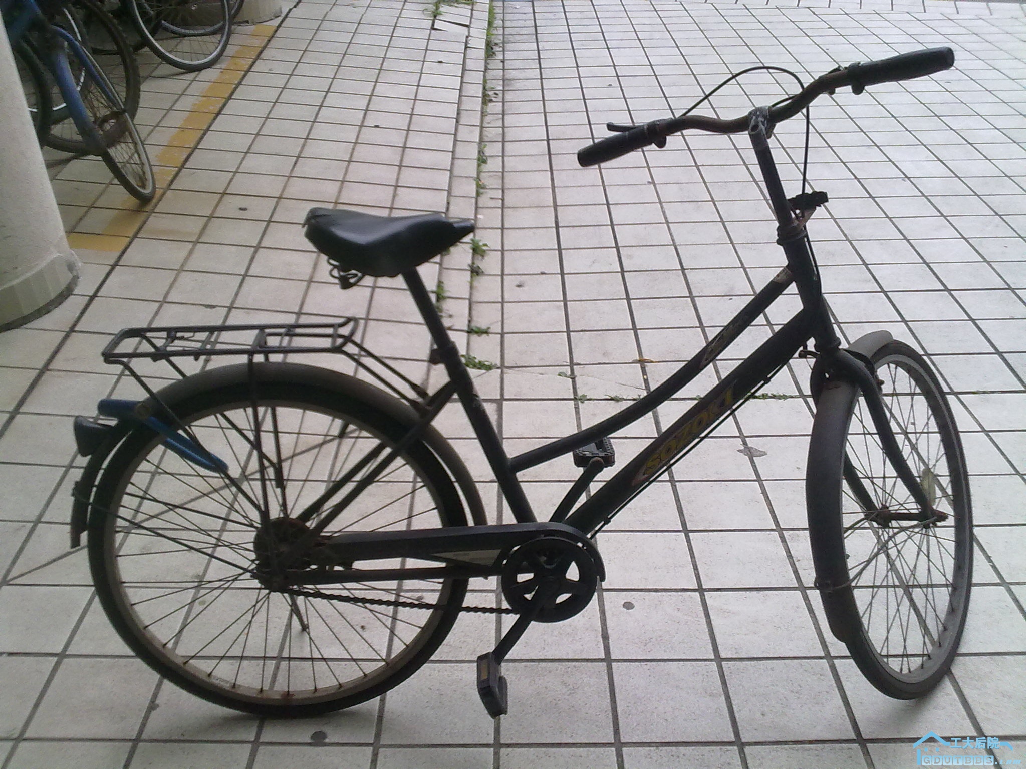 20100621118.jpg