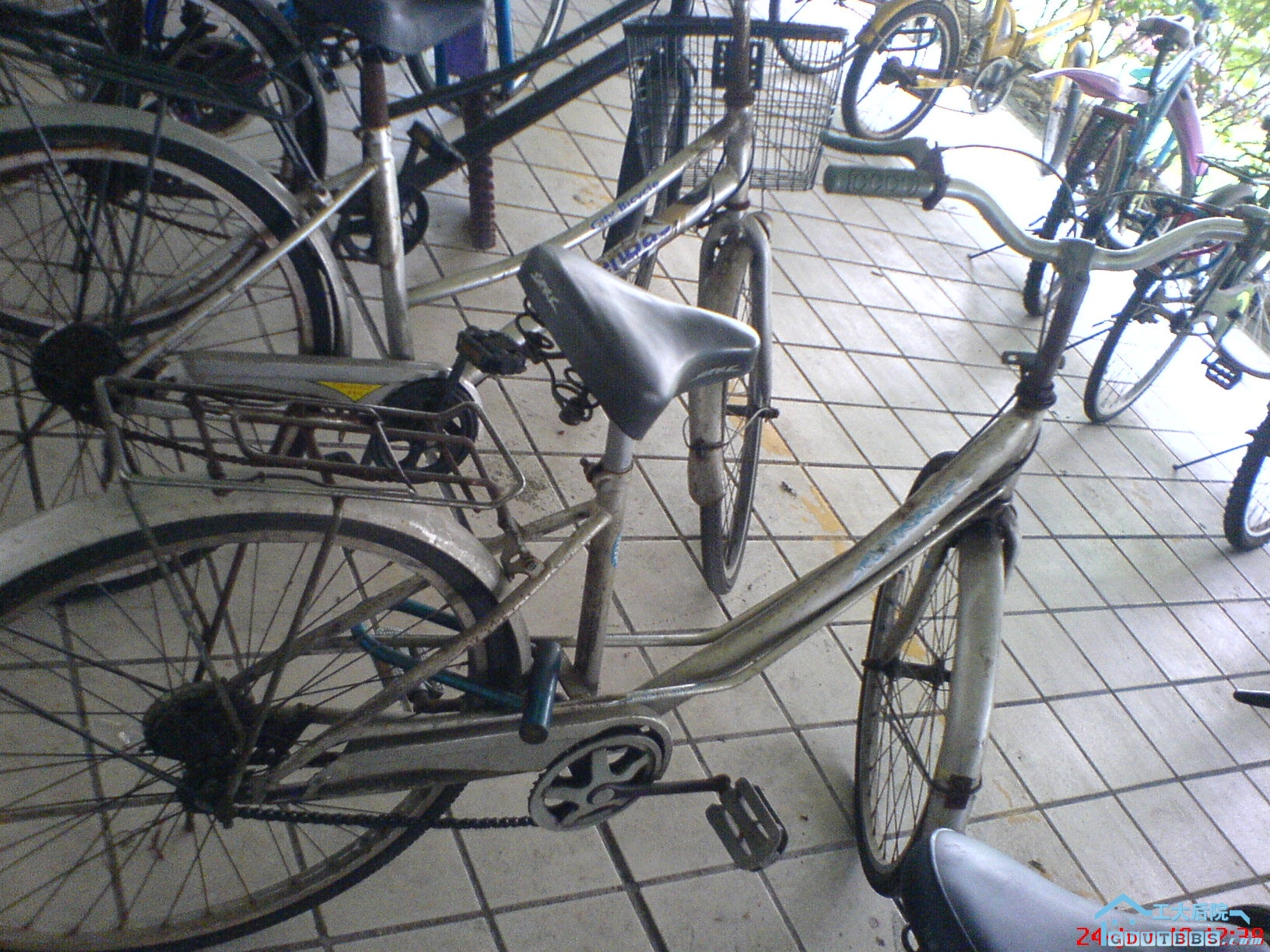 单车.JPG