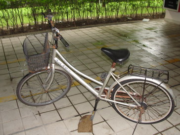 78.JPG