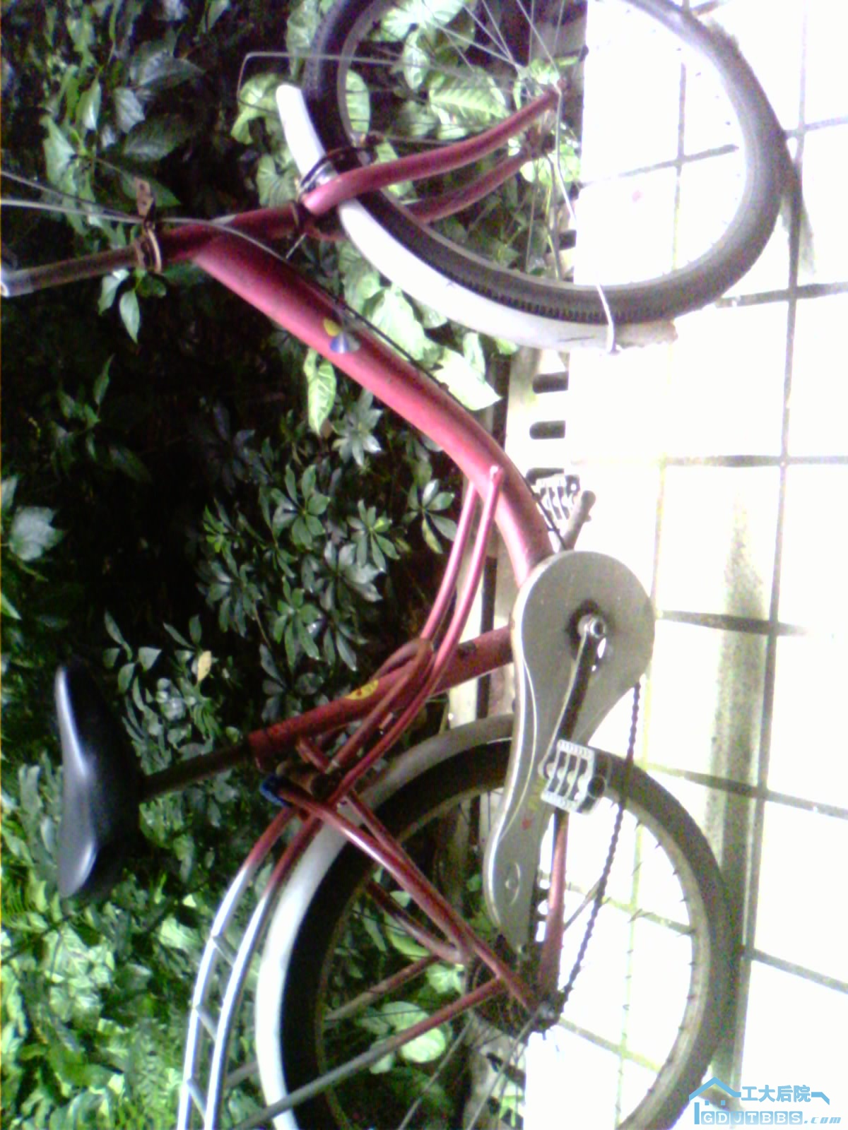 2010-06-25 11.36.42.jpg