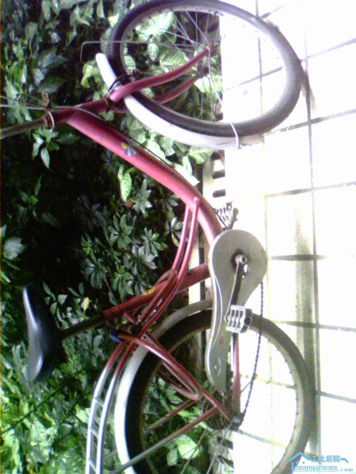 2010-06-25 11.36.49.jpg