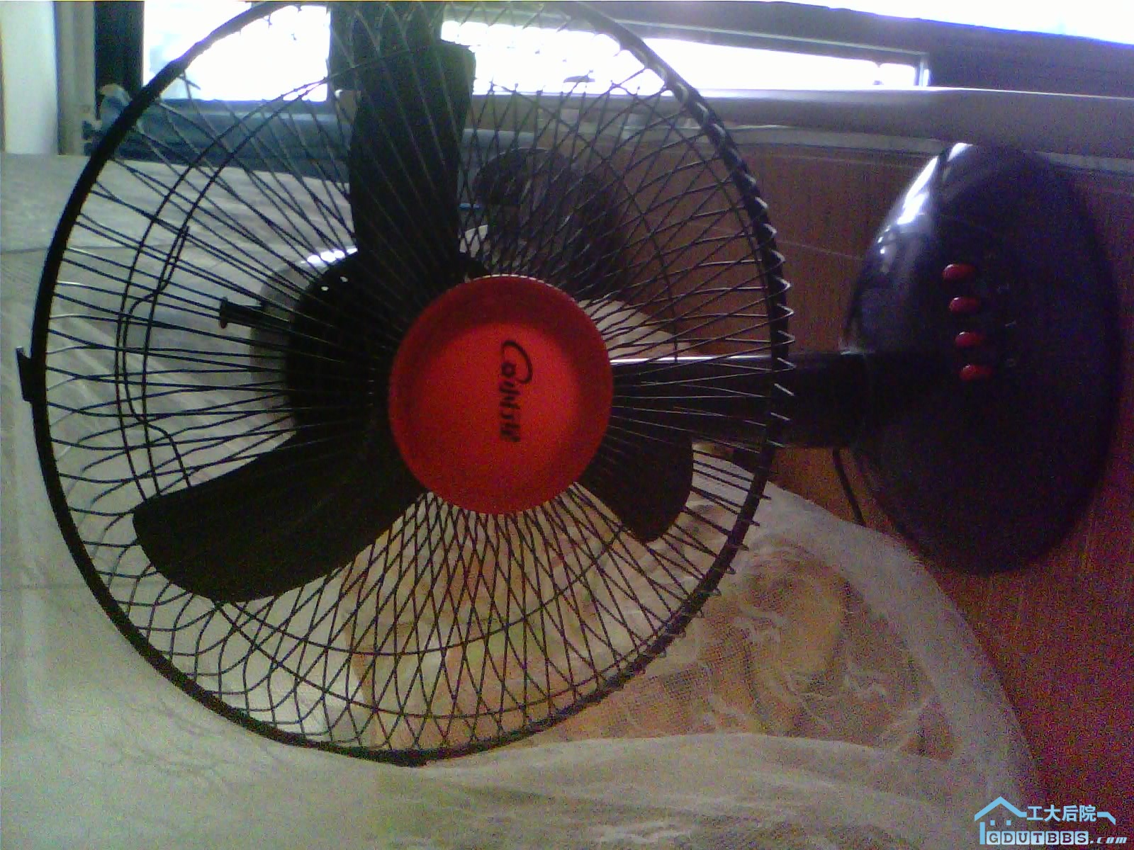 2010-06-25 12.59.20.jpg