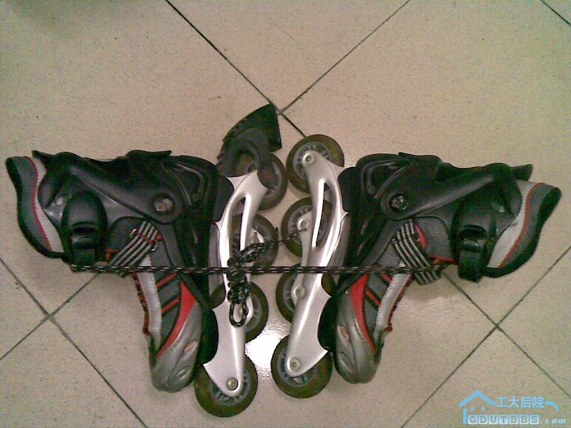 ABCD0010.JPG