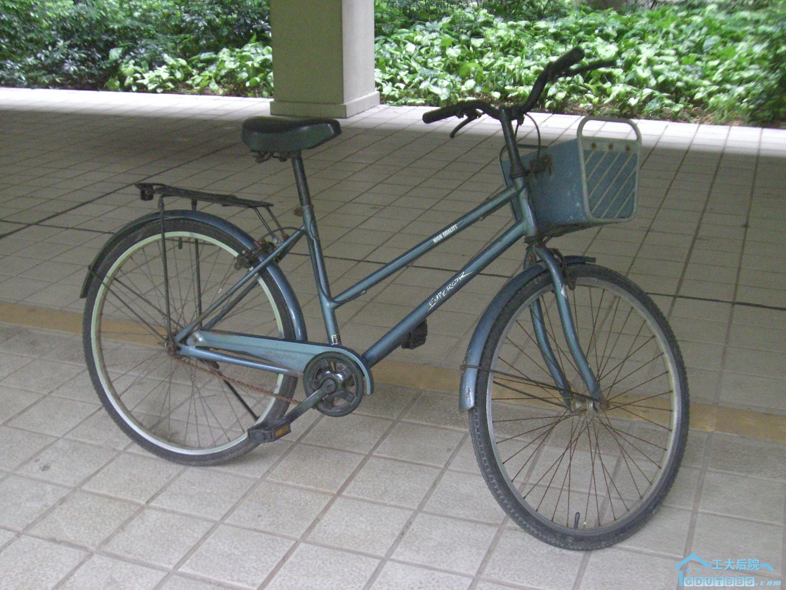 CIMG9536.JPG