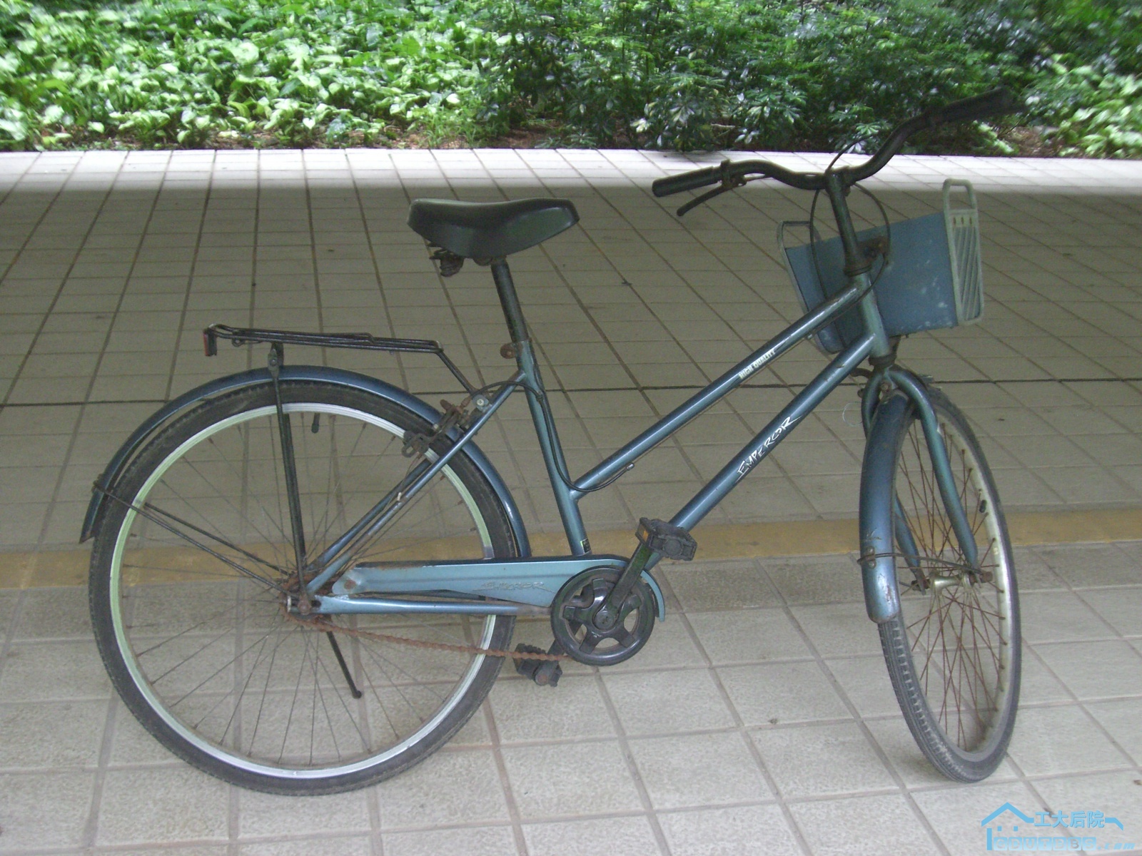 CIMG9532.JPG