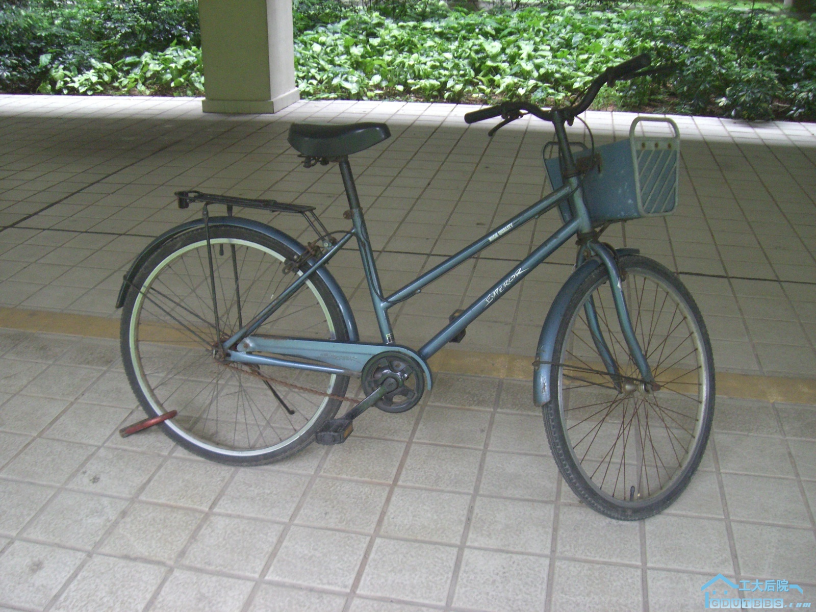 CIMG9538.JPG