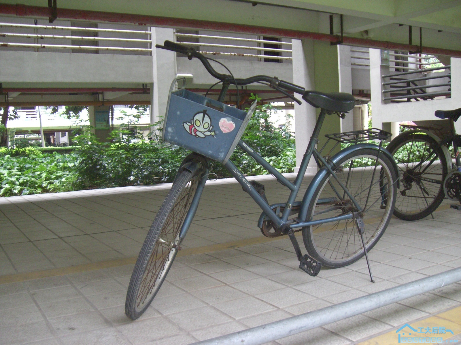 CIMG9534.JPG