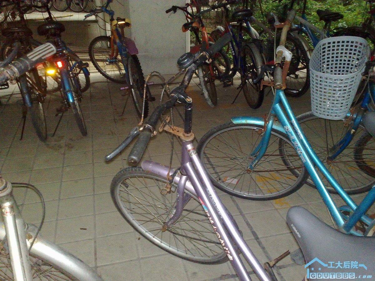 20100624011.jpg
