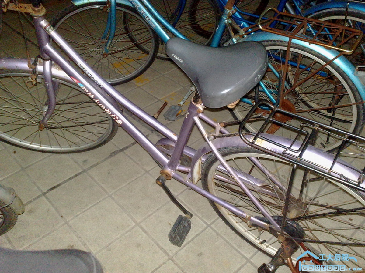 20100624010.jpg