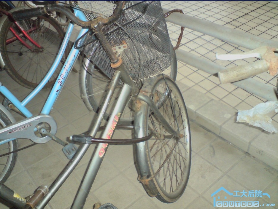 单车2.jpg