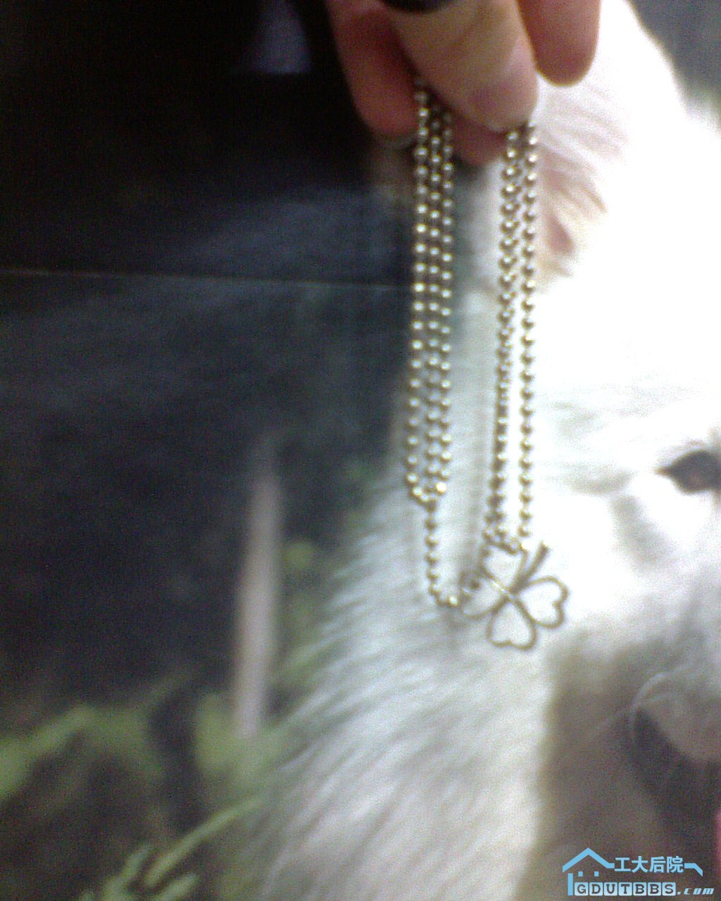 DSC00055.JPG