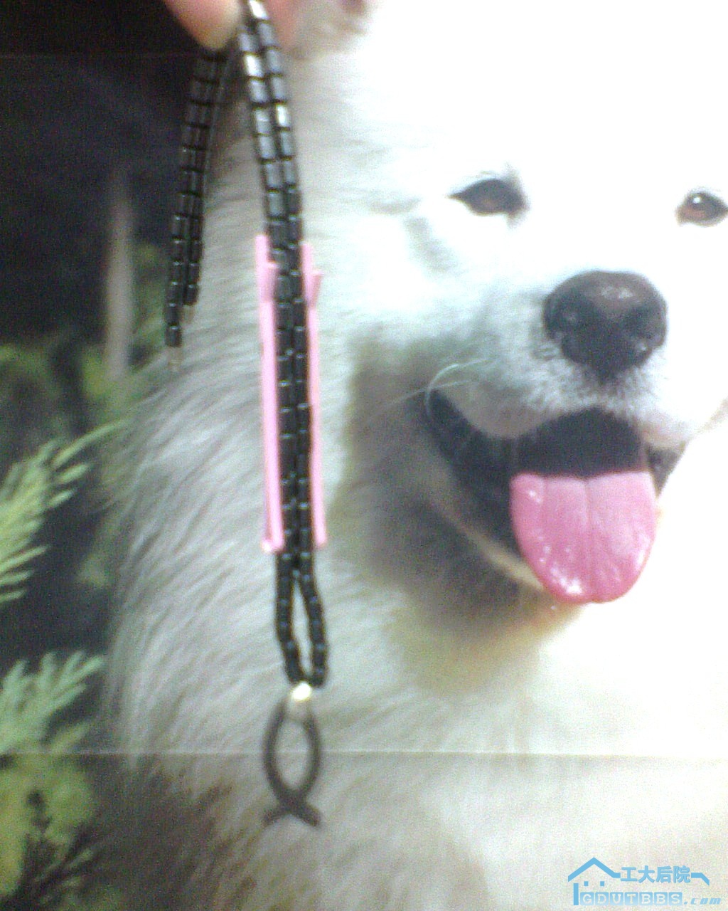 DSC00056.JPG