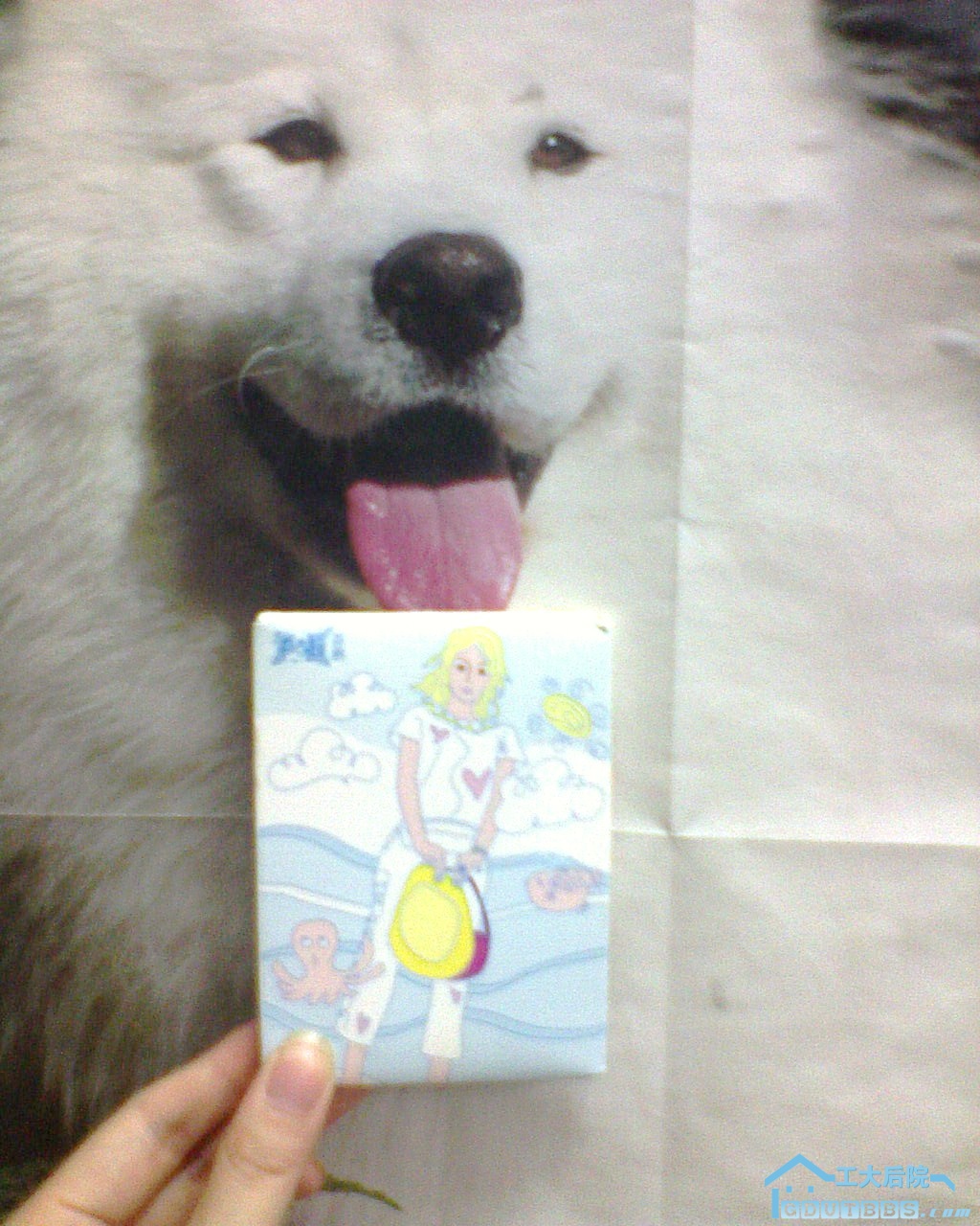 DSC00034.JPG