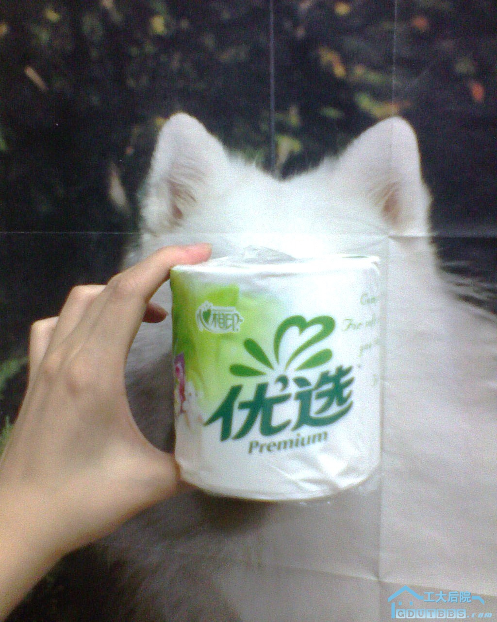 DSC00042.JPG