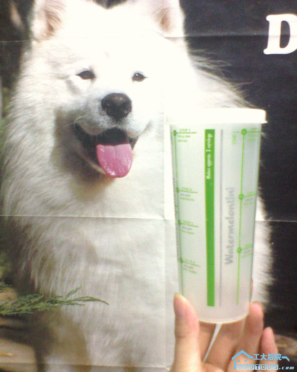 DSC00025.JPG