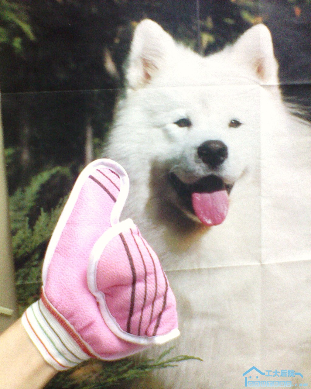 DSC00021.JPG