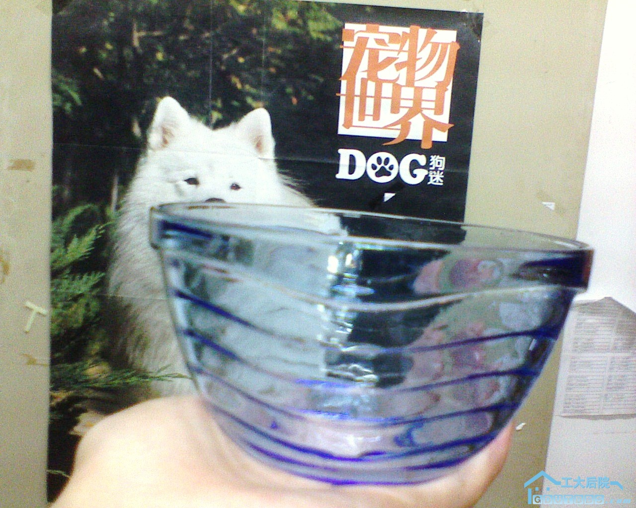 DSC00092.JPG