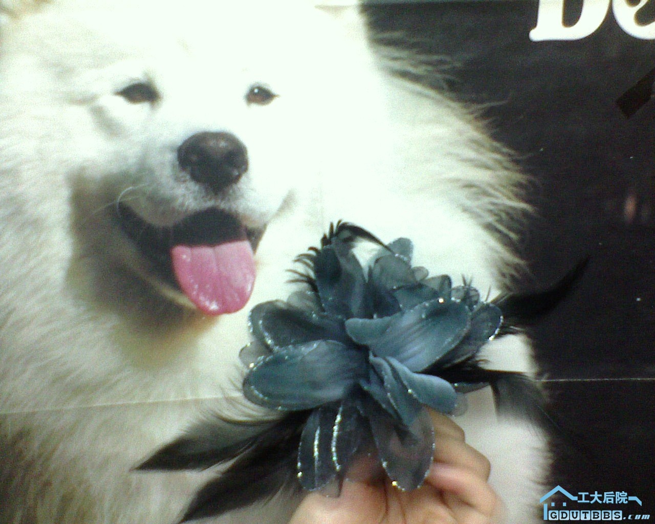 DSC00074.JPG